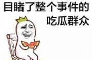 迷你吃鸡射击 