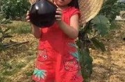 b站视频大全免费观看 