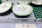 果肉网校 