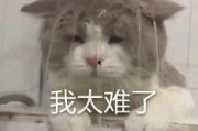 王者空白昵称 