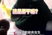 黑料吃瓜网apk普通安装 